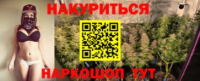 спиды Новодвинск
