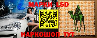 спиды Новодвинск