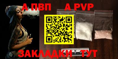 спиды Новодвинск