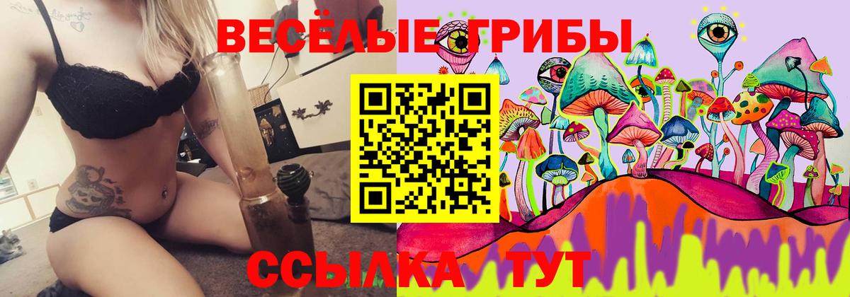 Галлюциногенные грибы Psilocybine cubensis  Вход с VPN  Сафоново 